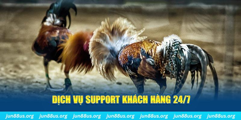 link vip ÁT CHỦ BÀI GIÀNH LẤY ZHUANG NIUNIU ( XEM 4 LÁ )