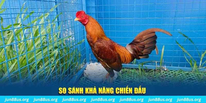 link vip CQ9 Điện Tử