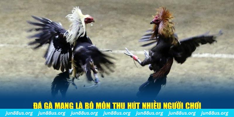 link vip bắn cá au88