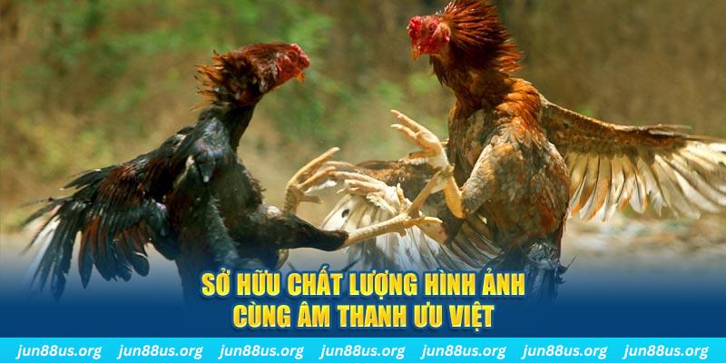 link vip PP Điện Tử