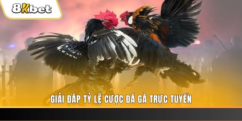 link vip xổ số đài miền trung