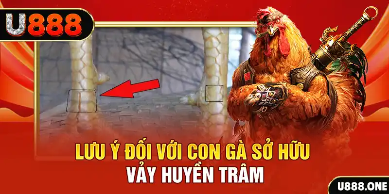 link vip kết quả xổ số miền nam hôm nay