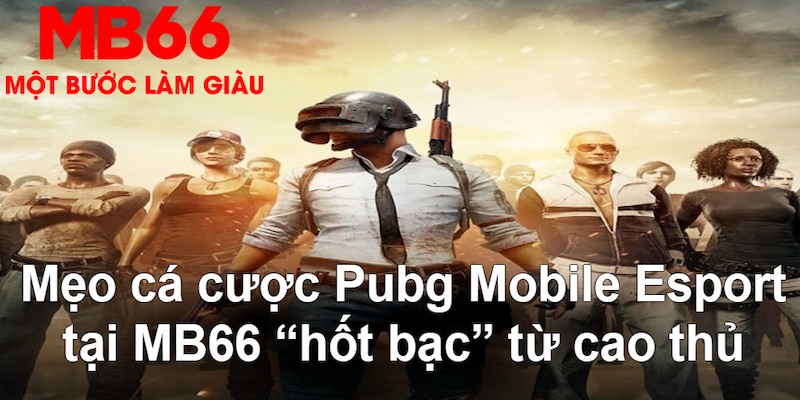 link vip VA Bắn cá