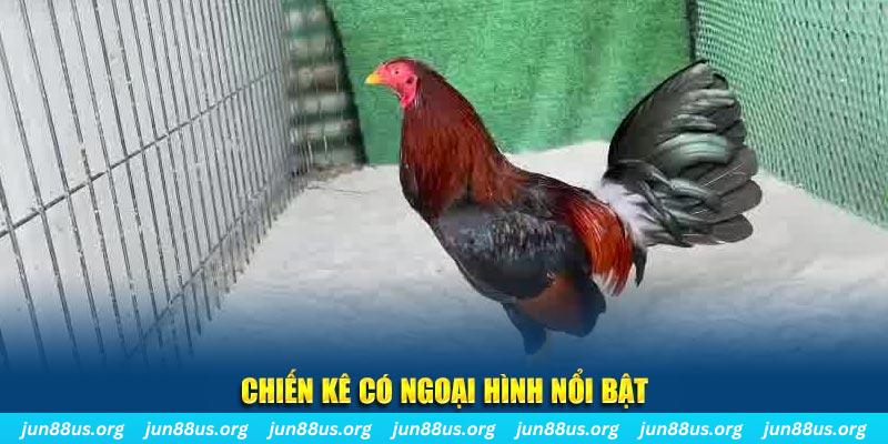 link vip game nổ hũ là gì