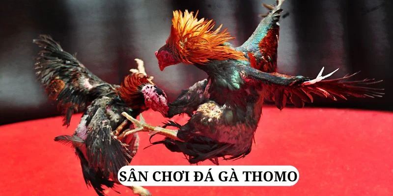 link vip trực tiếp xổ số miền bắc